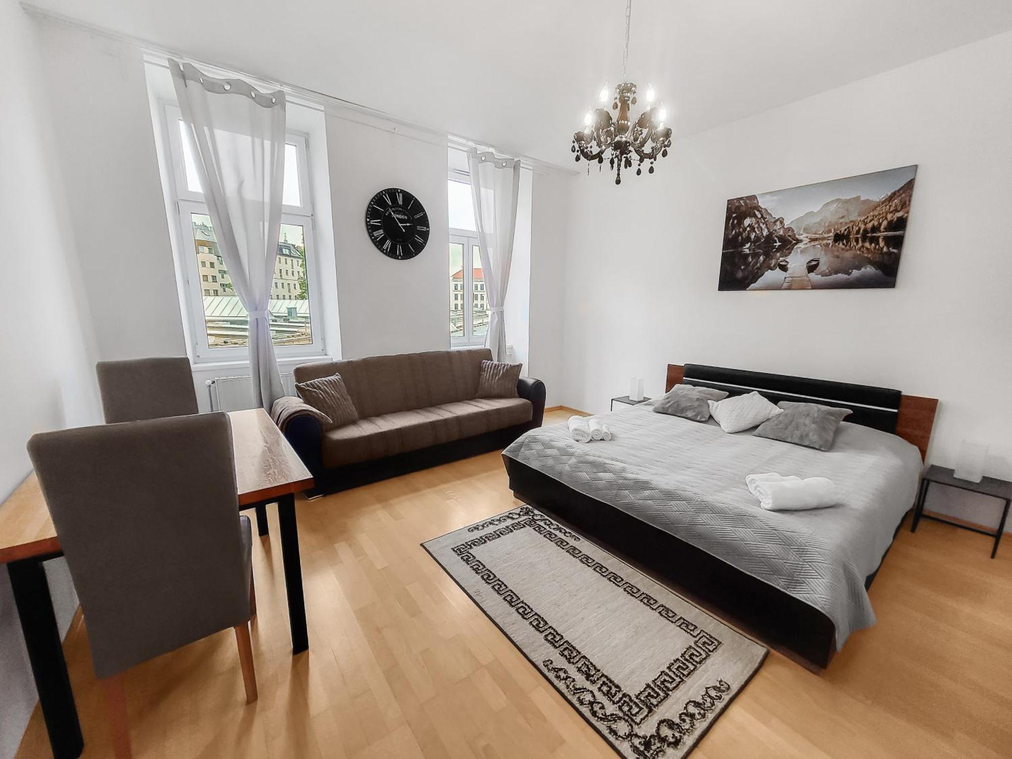 Davidov Stays Danube Wien Rum bild