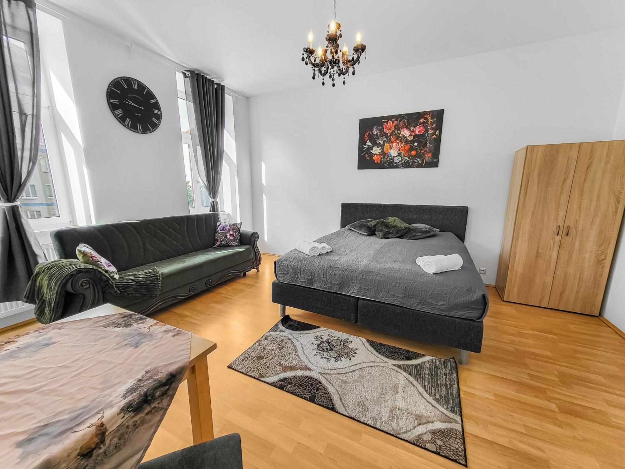 Davidov Stays Danube Wien Rum bild